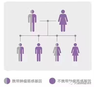 健康托付，關(guān)愛(ài)彼此 腫瘤基因檢測(cè)在療養(yǎng)院中的守護(hù)與溫度