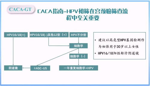 魏冰教授深入解讀基因檢測(cè)規(guī)范,助力腫瘤患者邁入精準(zhǔn)治療時(shí)代