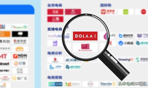 博拉網(wǎng)絡(luò) 以多項(xiàng)數(shù)字化服務(wù)領(lǐng)先優(yōu)勢，榮登中國數(shù)字營銷生態(tài)圖