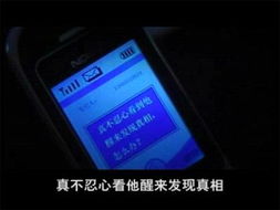 廣告云集看《天下無賊》 數(shù)碼產(chǎn)品與數(shù)字廣告設(shè)計(jì)的時(shí)代共振